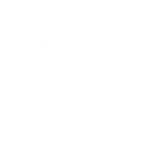 Icon Erfahrene Techniker aus der Region