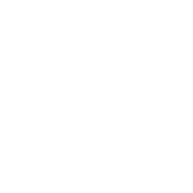 schnelle reparatur logo